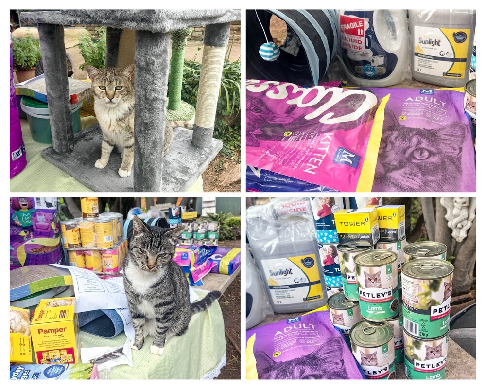 Friends of Ferals